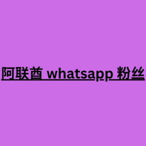 阿联酋 whatsapp 粉丝