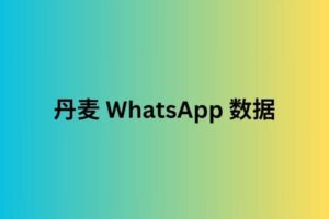 丹麦 WhatsApp 数据