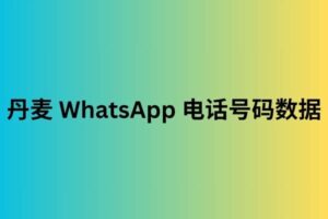 丹麦 WhatsApp 电话号码数据