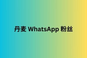 丹麦 WhatsApp 粉丝