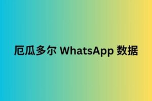 厄瓜多尔 WhatsApp 数据