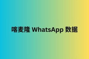 喀麦隆 WhatsApp 数据