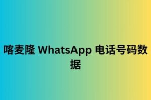 喀麦隆 WhatsApp 电话号码数据