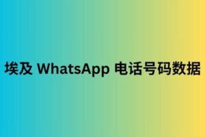 埃及 WhatsApp 电话号码数据