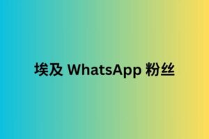 埃及 WhatsApp 粉丝