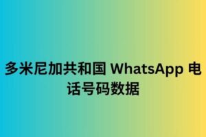 多米尼加共和国 WhatsApp 电话号码数据