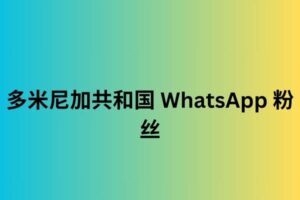 多米尼加共和国 WhatsApp 粉丝