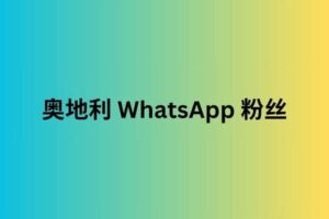 奥地利 WhatsApp 粉丝