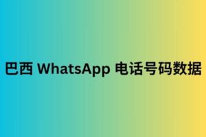 巴西 WhatsApp 电话号码数据