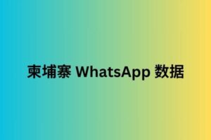 柬埔寨 WhatsApp 数据