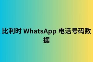 比利时 WhatsApp 电话号码数据