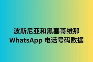 波斯尼亚和黑塞哥维那 WhatsApp 电话号码数据