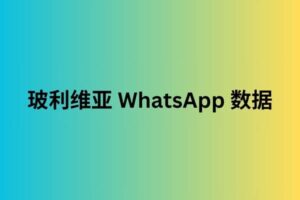 玻利维亚 WhatsApp 数据