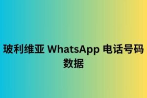 玻利维亚 WhatsApp 电话号码数据