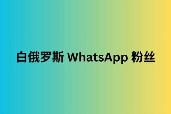 白俄罗斯 WhatsApp 粉丝