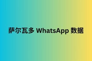 萨尔瓦多 WhatsApp 数据