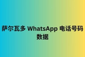 萨尔瓦多 WhatsApp 电话号码数据