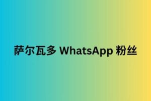 萨尔瓦多 WhatsApp 粉丝