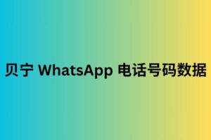 贝宁 WhatsApp 电话号码数据