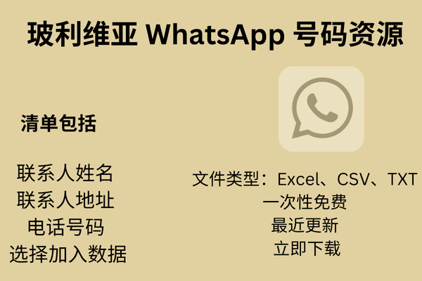 玻利维亚 WhatsApp 号码资源